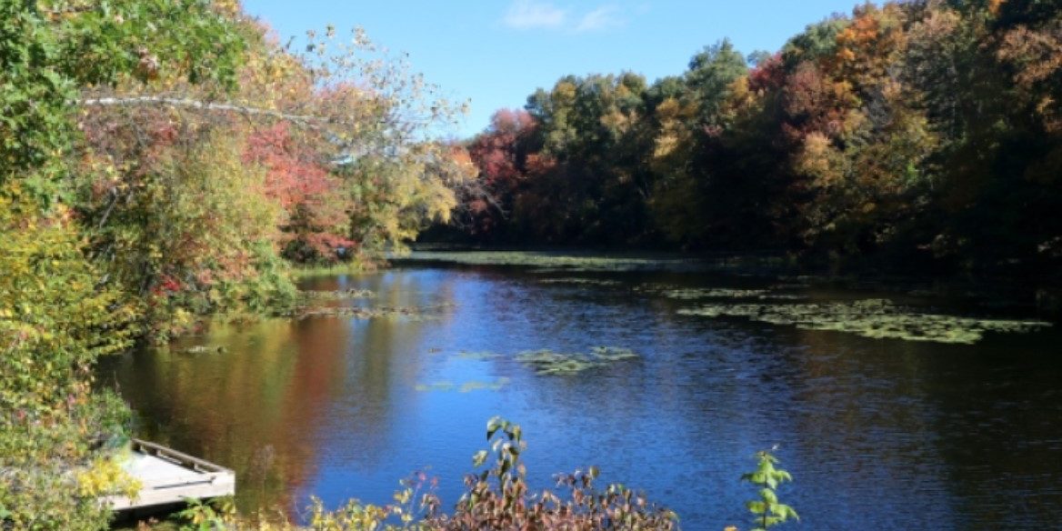 Woodcock Nature Center